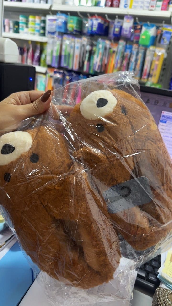 Foto de avaliação verificada — 2 de Teddy, o Urso