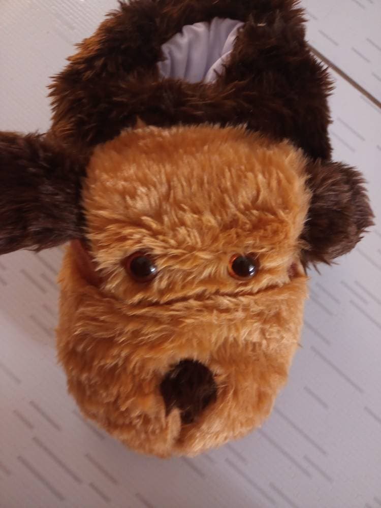 Foto de avaliação verificada — 1 de Cacau, o Cachorrinho