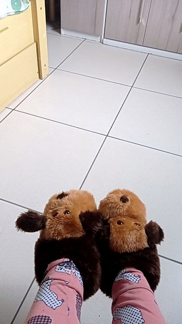 Foto de avaliação verificada — 3 de Cacau, o Cachorrinho