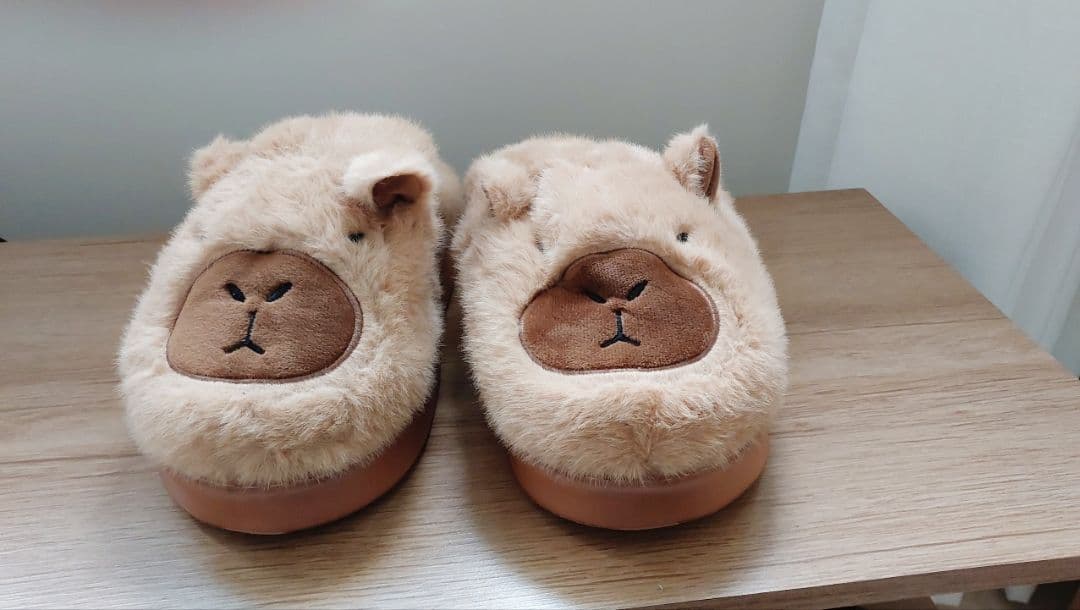 Foto de avaliação verificada — 2 de Cappy, a Capivara