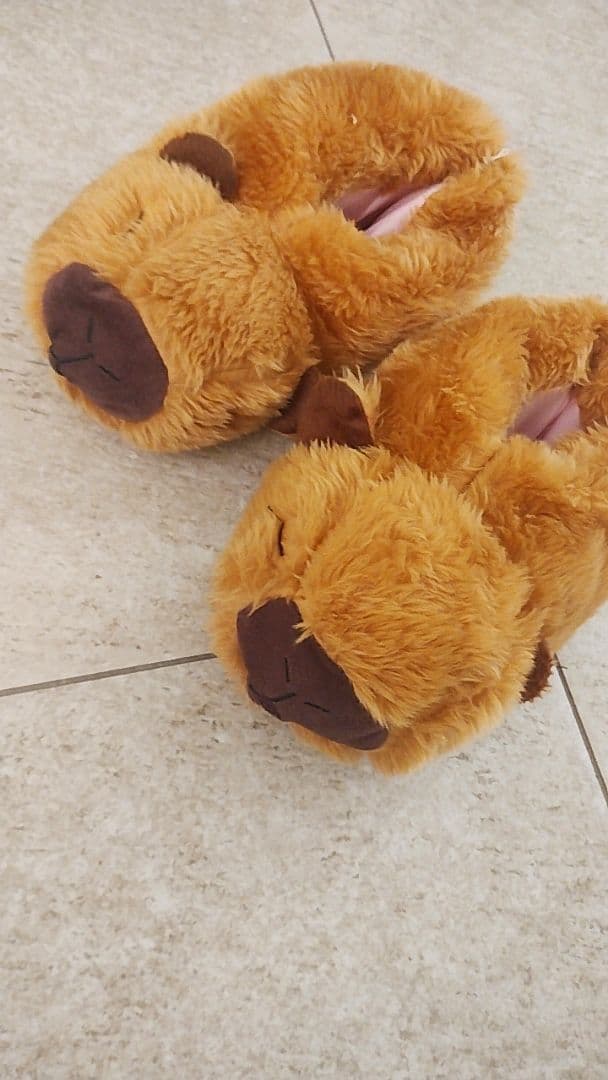 Foto de avaliação verificada — 2 de Filó, a Capivara