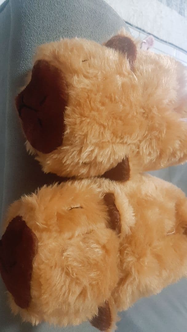 Foto de avaliação verificada — 3 de Filó, a Capivara